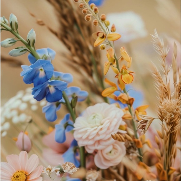 Meet your Posher, Lucie - Picture 1 of 1